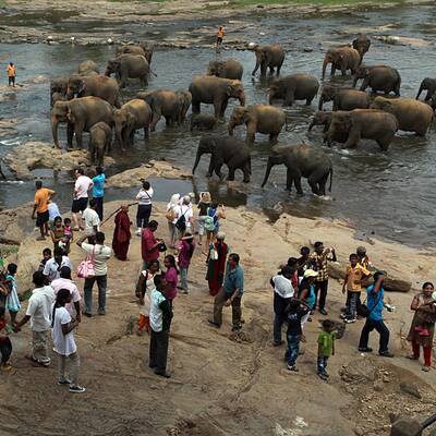 Elefanten-Waisenhaus taufte 15 Baby-Elefanten