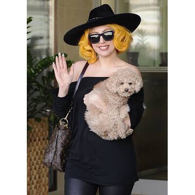 Lady Gaga - Ankunft in Wien