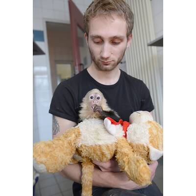 Justin Biebers Affe Mally in der Quarantänestation