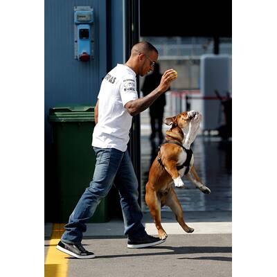 Formel-1-Pilot Lewis Hamilton liebt Hund Roscoe