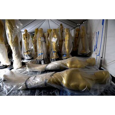 Hollywood putzt sich für Oscars 2014 heraus