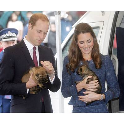 Herzogin Kate, Prinz William & Baby George: Abschied von Australien