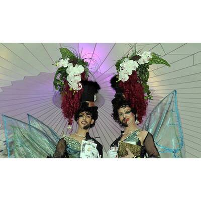 Life Ball 2014: Fantasievolle Kostüme & schrille Gäste