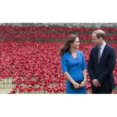 Herzogin Kate & Prinz William pflanzen Mohnblume