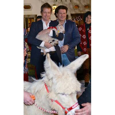 Hugh Grant: So tierlieb