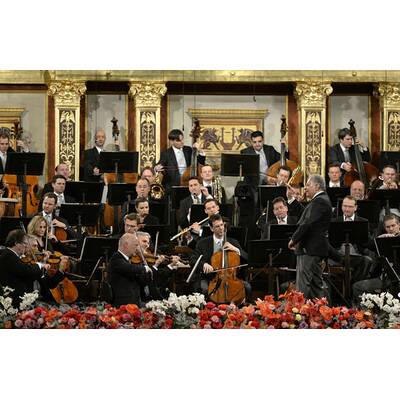 Traumhaftes Neujahrskonzert 2015