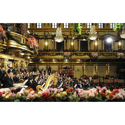 Traumhaftes Neujahrskonzert 2015