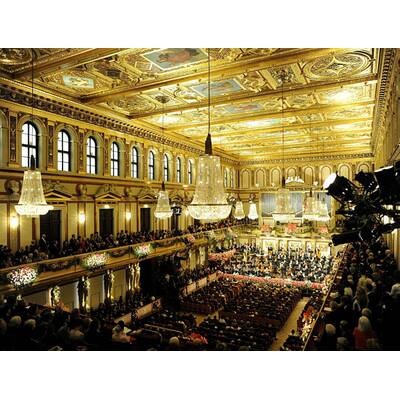 Traumhaftes Neujahrskonzert 2015