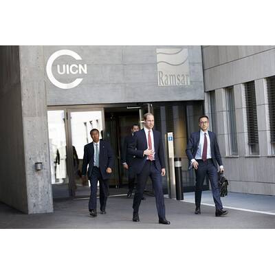 Prinz William: Erster Termin nach Baby