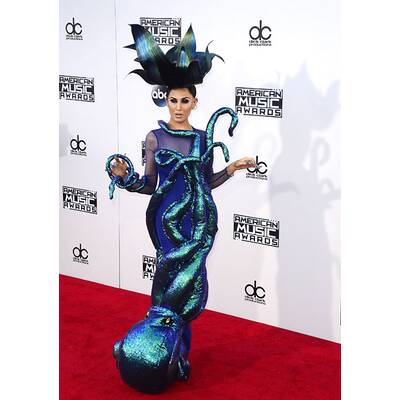 Die Stars bei den American Music Awards 2015