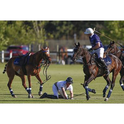 Prinz Harry fällt bei Polo Match vom Pferd