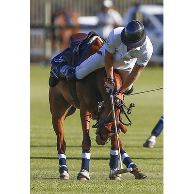 Prinz Harry fällt bei Polo Match vom Pferd