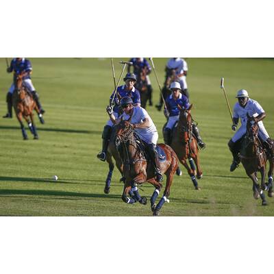 Prinz Harry fällt bei Polo Match vom Pferd