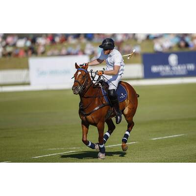 Prinz Harry fällt bei Polo Match vom Pferd