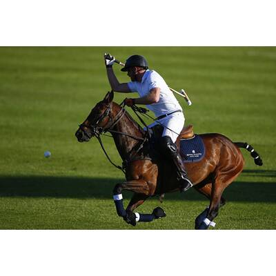Prinz Harry fällt bei Polo Match vom Pferd