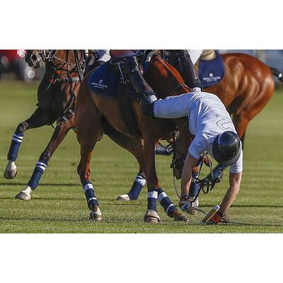 Prinz Harry fällt bei Polo Match vom Pferd