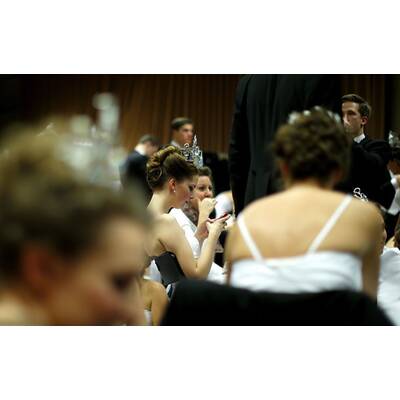 Opernball 2013