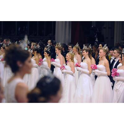 Opernball 2013