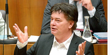 Grüne orten Schmiergeld in der ÖVP