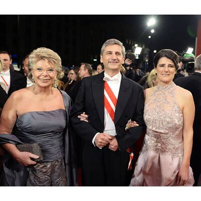 Die Stars am Opernball 2014