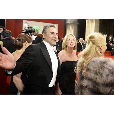 Die Stars am Opernball 2014