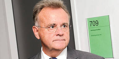 Niessl: Dossier vernichtet Zeugen