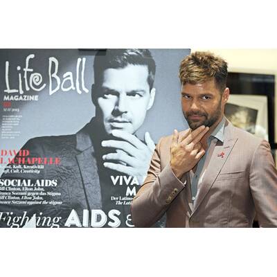 Life Ball Pressekonferenz im Hotel Imperial am 31. Mai 2014