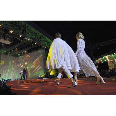 Stars und glamouröse Kostüme am Life Ball