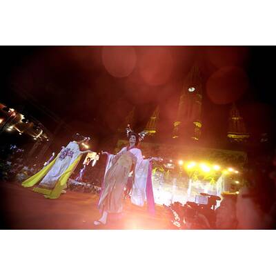 Stars und glamouröse Kostüme am Life Ball