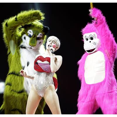 Die besten Bilder des Wien-Konzerts