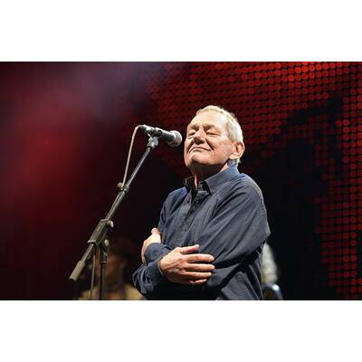 Wolfgang Ambros am Hafener Open Air