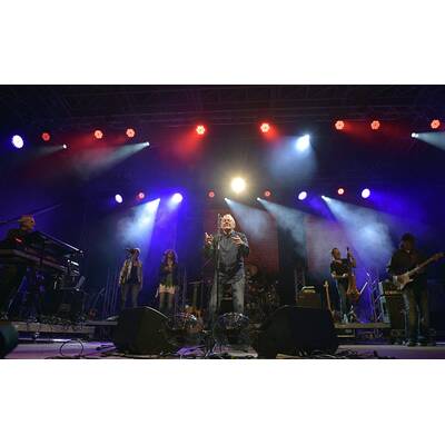 Wolfgang Ambros am Hafener Open Air