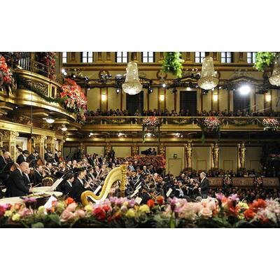 Traumhaftes Neujahrskonzert 2015