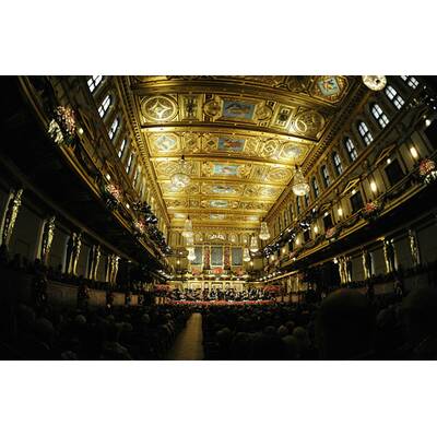 Traumhaftes Neujahrskonzert 2015