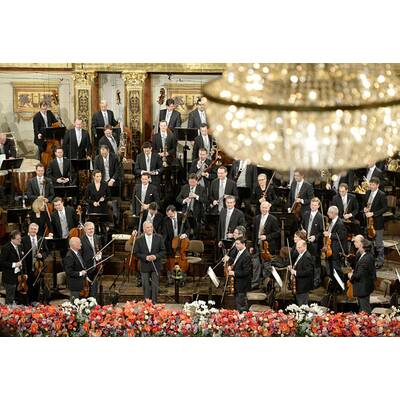 Traumhaftes Neujahrskonzert 2015