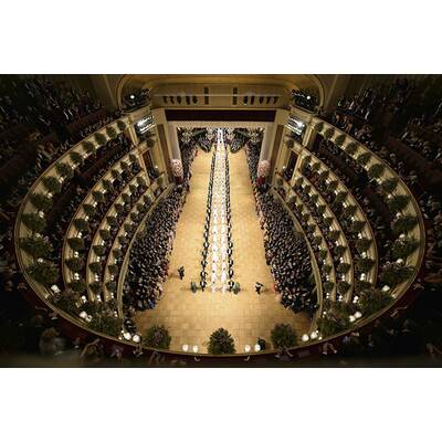 Die schönsten Bilder vom Opernball 2015