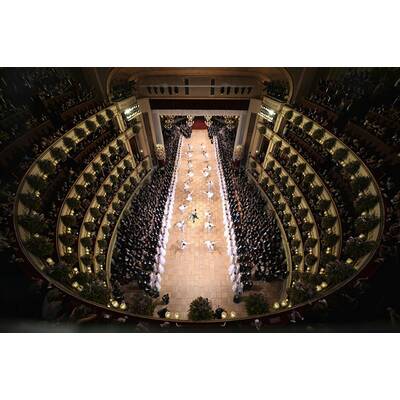 Die schönsten Bilder vom Opernball 2015