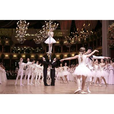 Die schönsten Bilder vom Opernball 2015