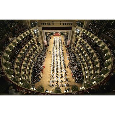 Die schönsten Bilder vom Opernball 2015