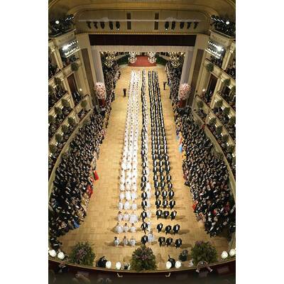 Die schönsten Bilder vom Opernball 2015
