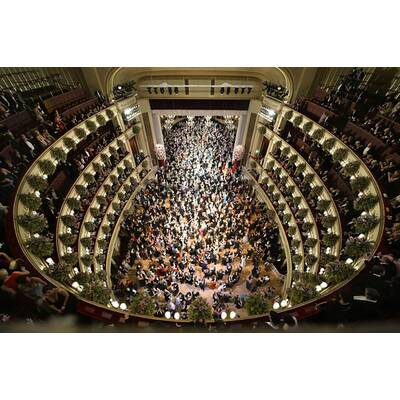 Die schönsten Bilder vom Opernball 2015