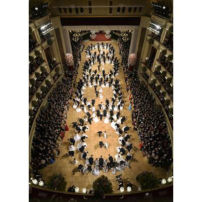 Die schönsten Bilder vom Opernball 2015