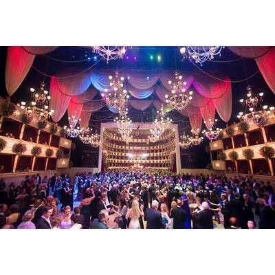 Die schönsten Bilder vom Opernball 2015