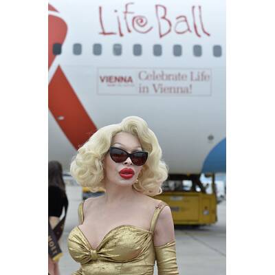 Die Life Ball Stars sind da