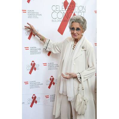 Stars beim Red Ribbon Konzert 2015