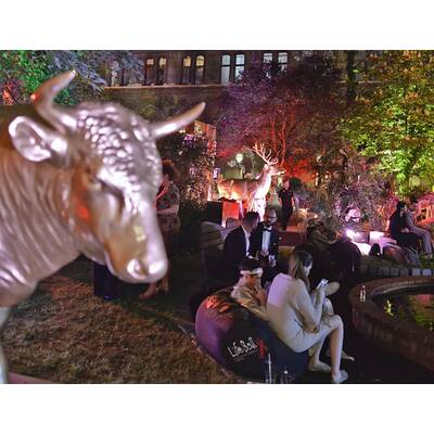 Life Ball 2015: Die besten Bilder