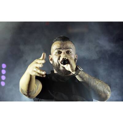 Donauinselfest 2015: Alle Bilder