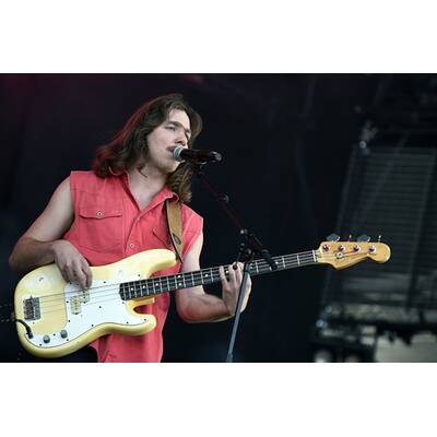 Donauinselfest 2015: Alle Bilder