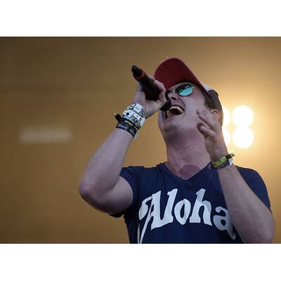 Donauinselfest 2015: Alle Bilder