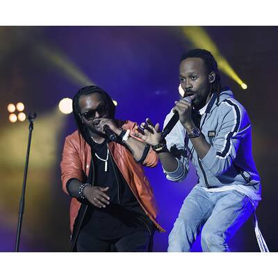 Donauinselfest 2015: Alle Bilder